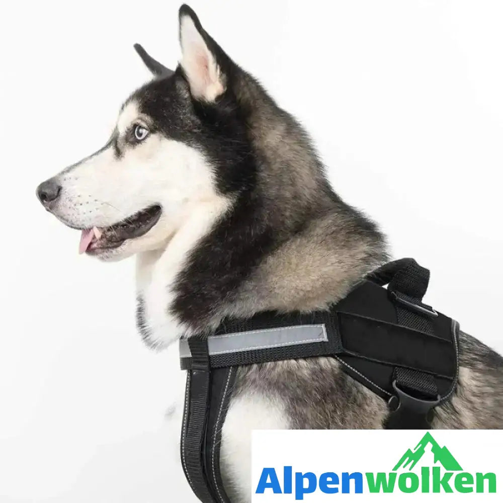 Alpenwolken - Reflektierende all-in-one No Pull-Hundegeschirr