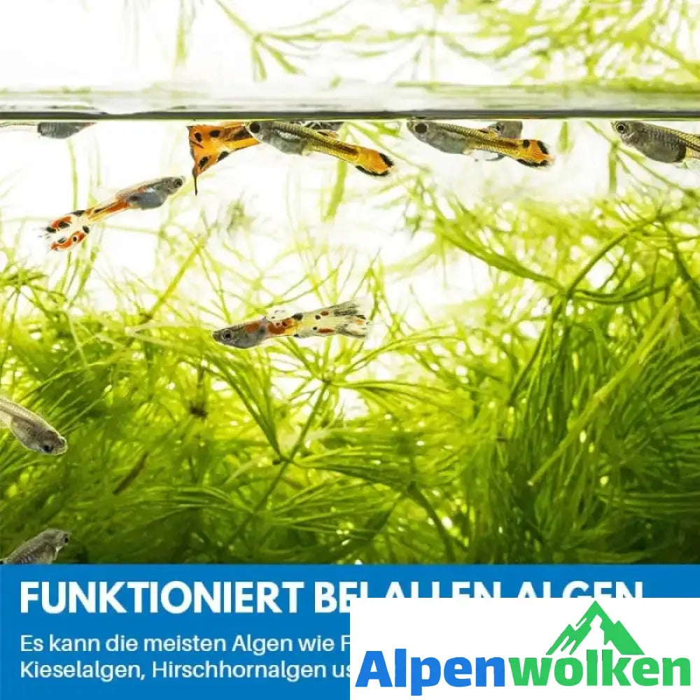 Alpenwolken - Reinigungspulver Für Aquarium