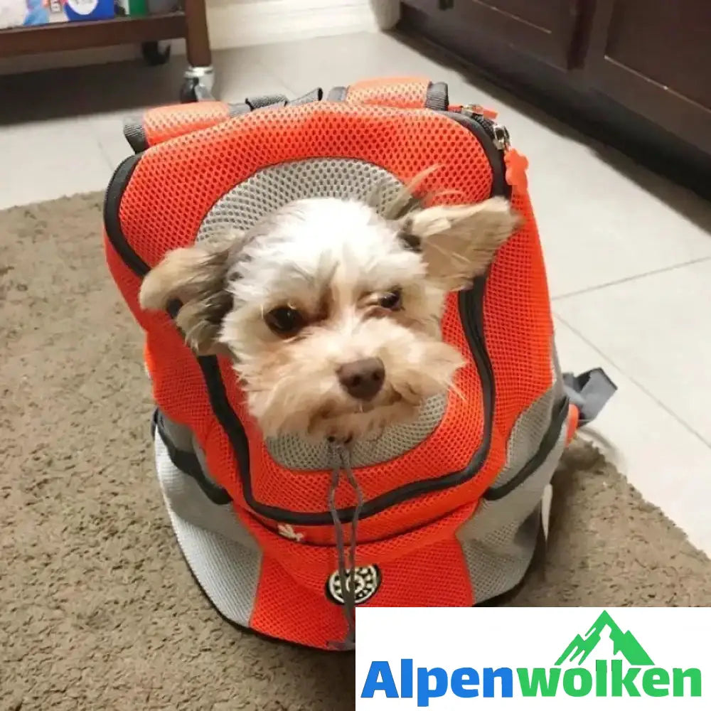 Alpenwolken - Rucksack für Hunde / Katzen