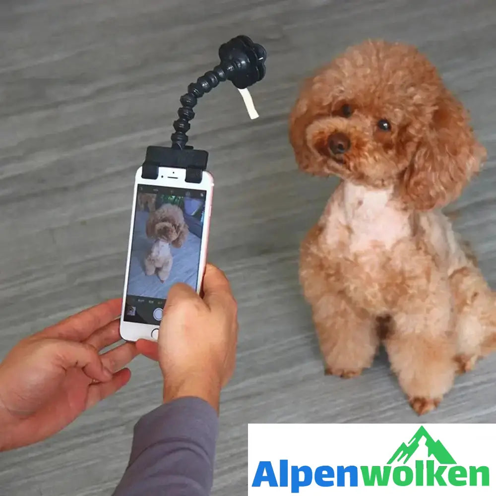 Alpenwolken - Schönes Haustier Selfie-Stick