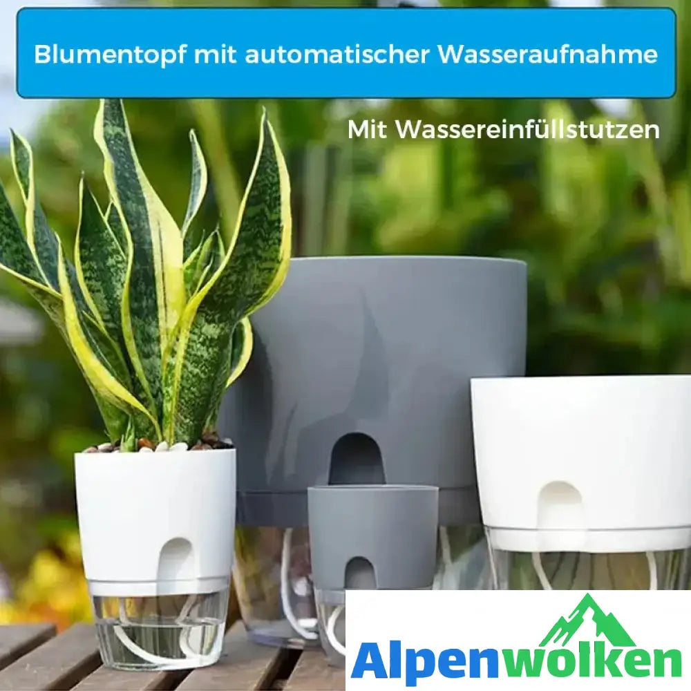 Alpenwolken - Selbstbewässernder Blumentopf