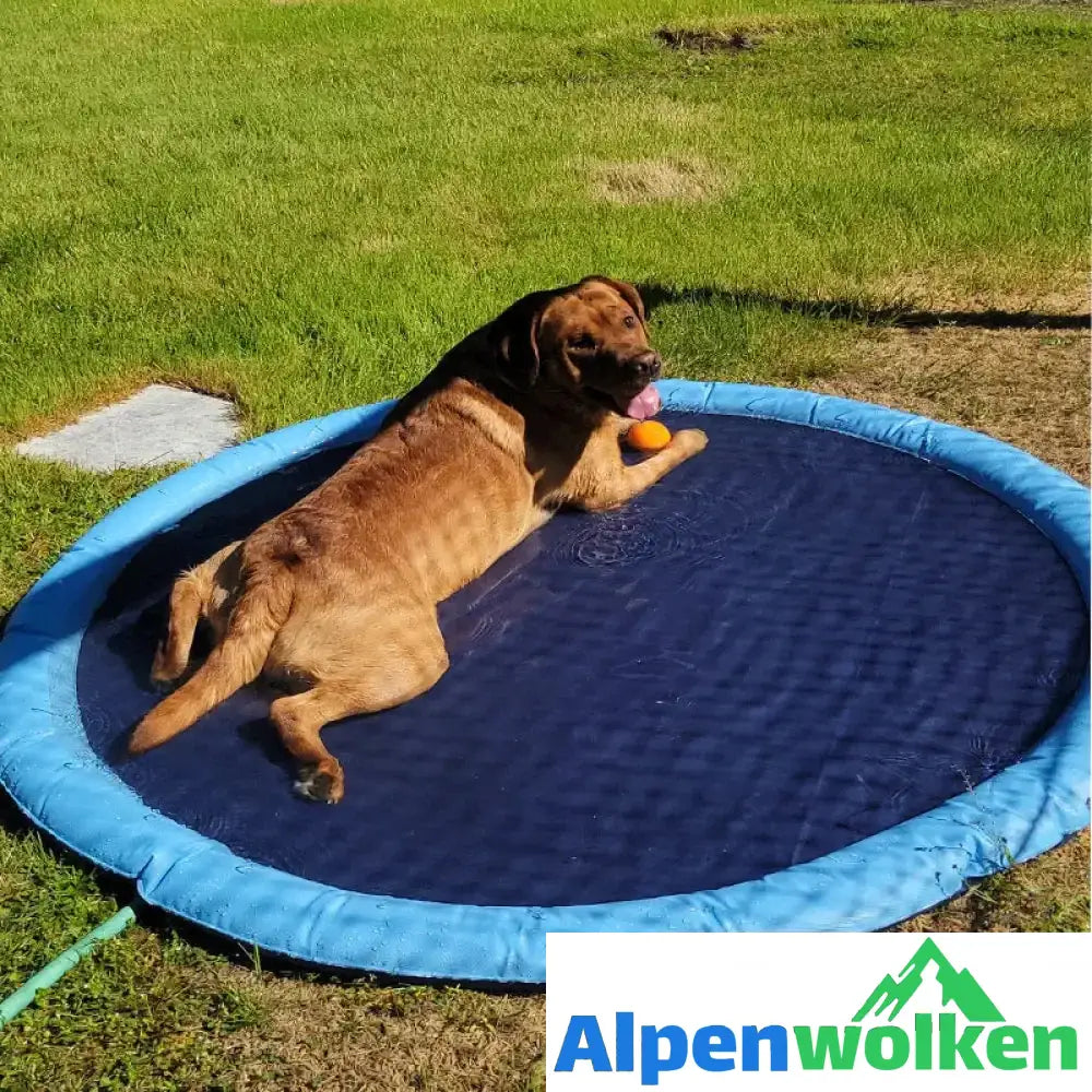 Alpenwolken - 🐶Tanzschwimmbad für Hunde & Familie🐱