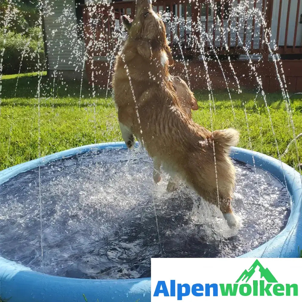 Alpenwolken - 🐶Tanzschwimmbad für Hunde & Familie🐱