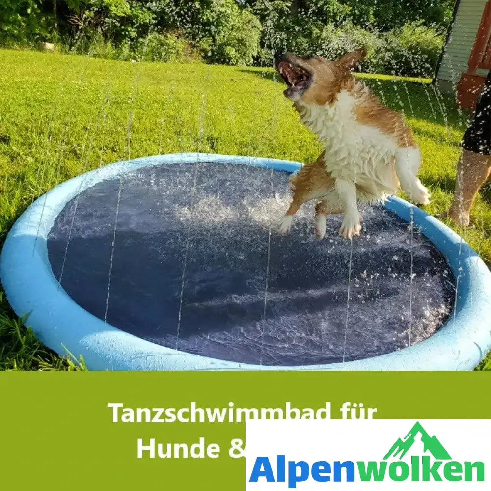 Alpenwolken - 🐶Tanzschwimmbad für Hunde & Familie🐱