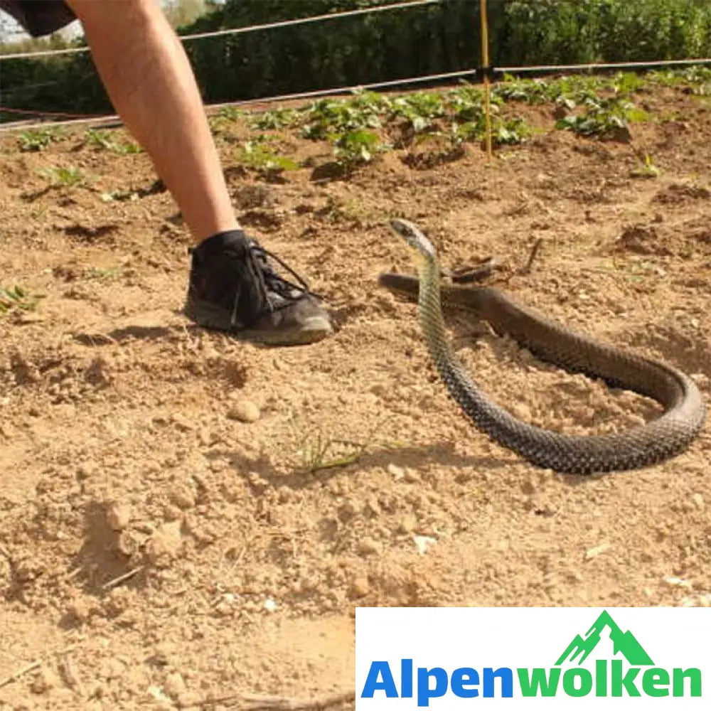 Alpenwolken - Unfug Schlange Spielzeug