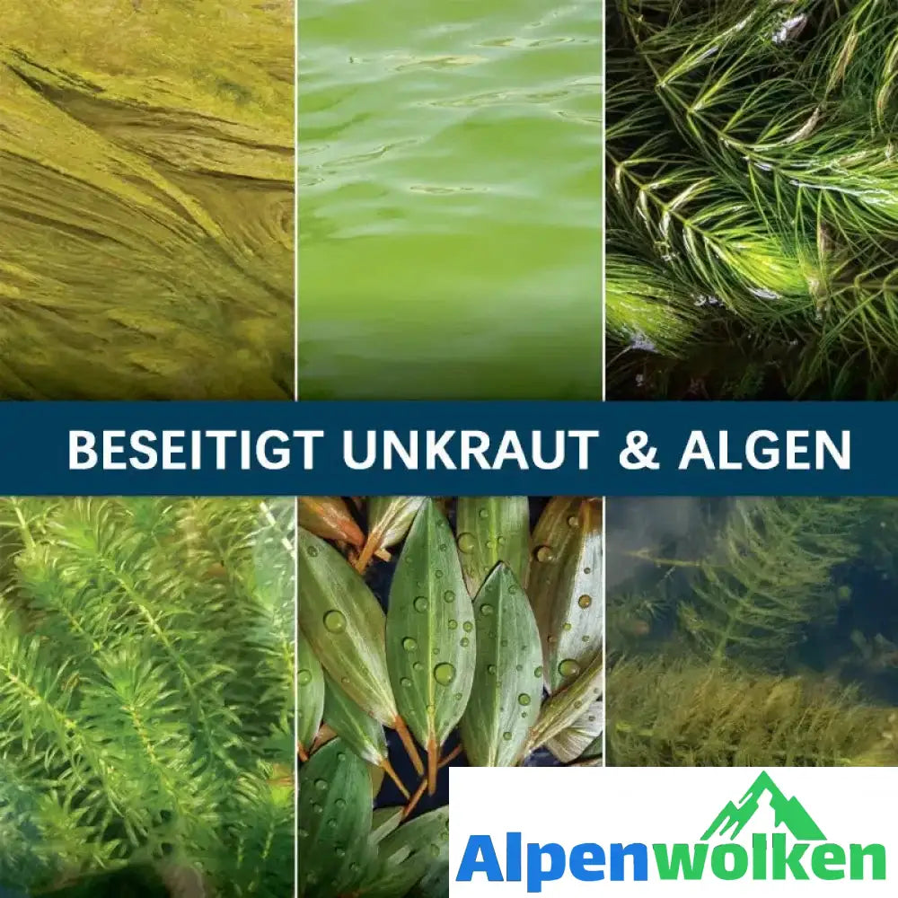 Alpenwolken - 💯👍Ungiftiges Algizid Für Aquarien