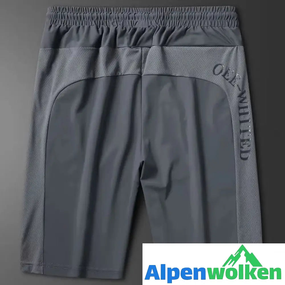 Alpenwolken - Unisex Super-Stretch-Schnelltrocknende Shorts Mesh - Grau