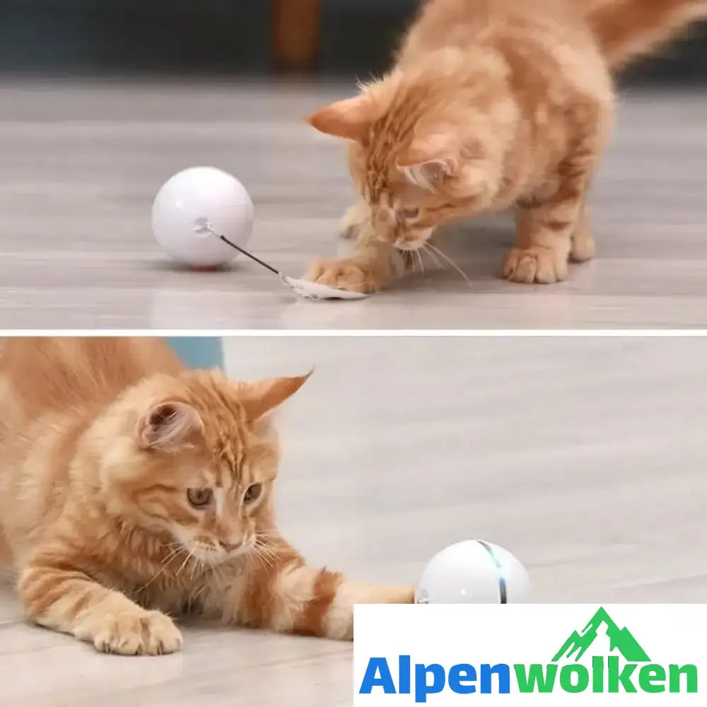 Alpenwolken - (🌲Weihnachtsangebot - 48 % RABATT) Freietaube Laser Katzenball mit Feder🎉