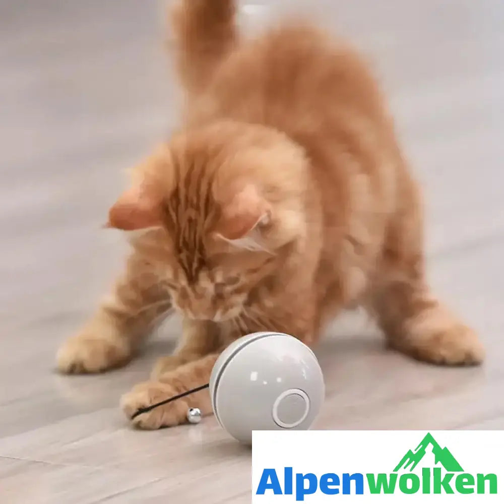 Alpenwolken - (🌲Weihnachtsangebot - 48 % RABATT) Freietaube Laser Katzenball mit Feder🎉