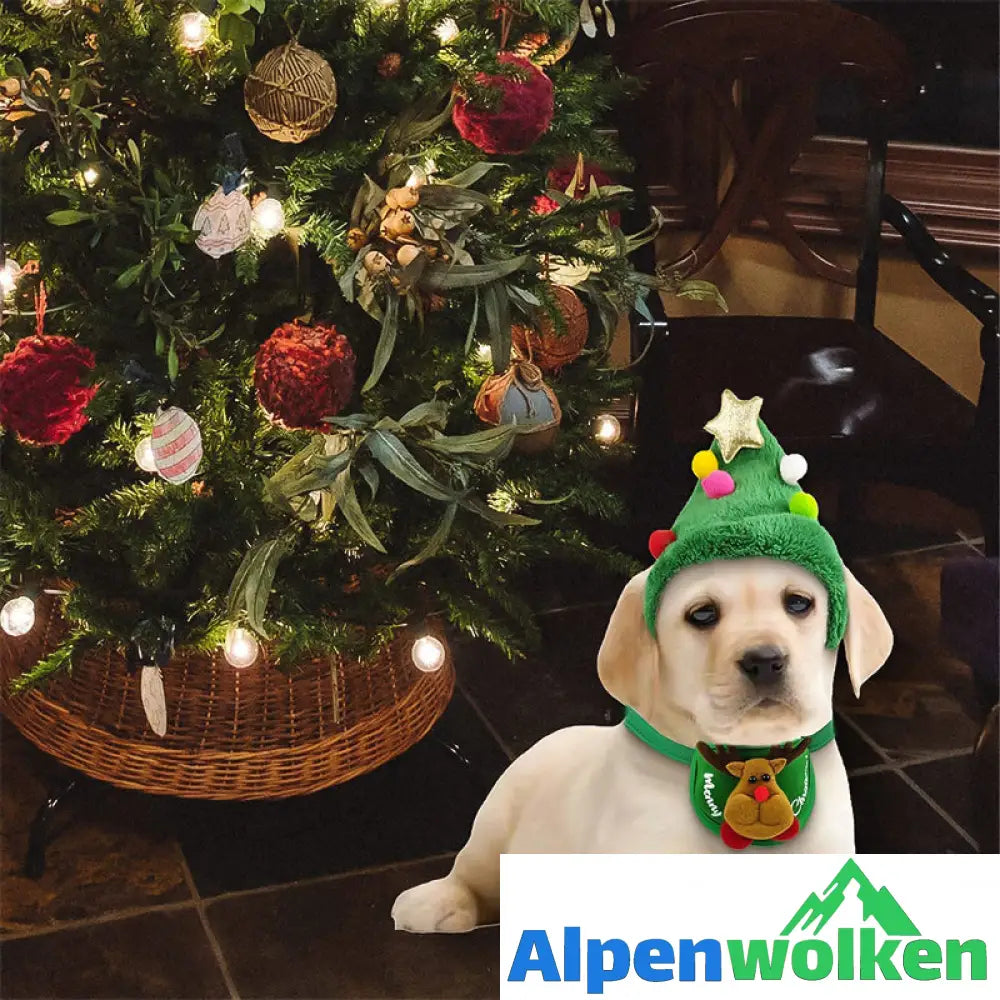 Alpenwolken - Weihnachtskleidung für Haustiere