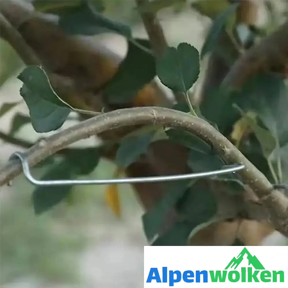 Alpenwolken - 🍒Werkzeug zum Formen von Obstbäumen（40 Stück）