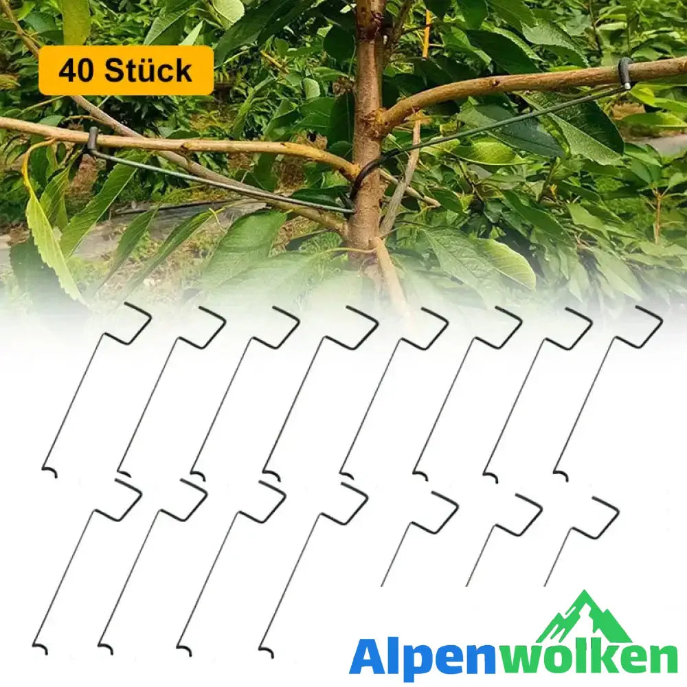 Alpenwolken - 🍒Werkzeug zum Formen von Obstbäumen（40 Stück）