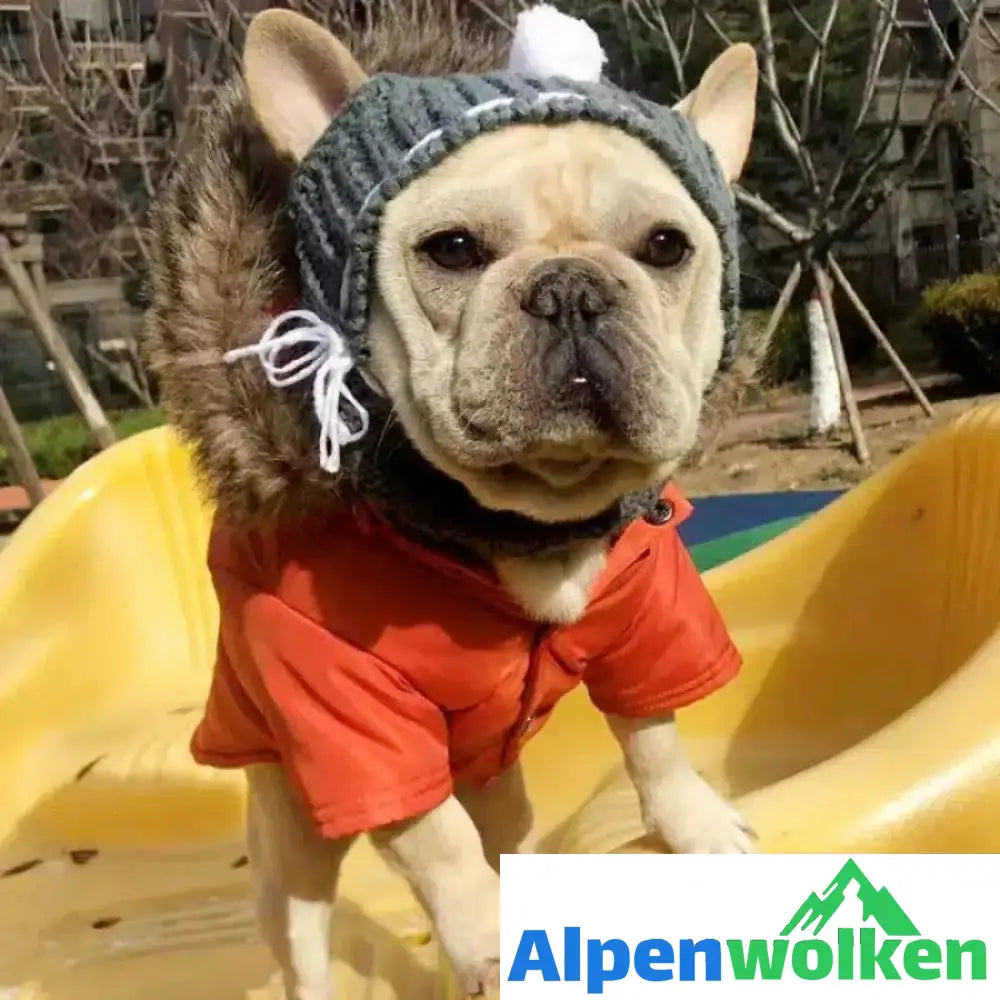 Alpenwolken - Winter Wollmütze für Hund