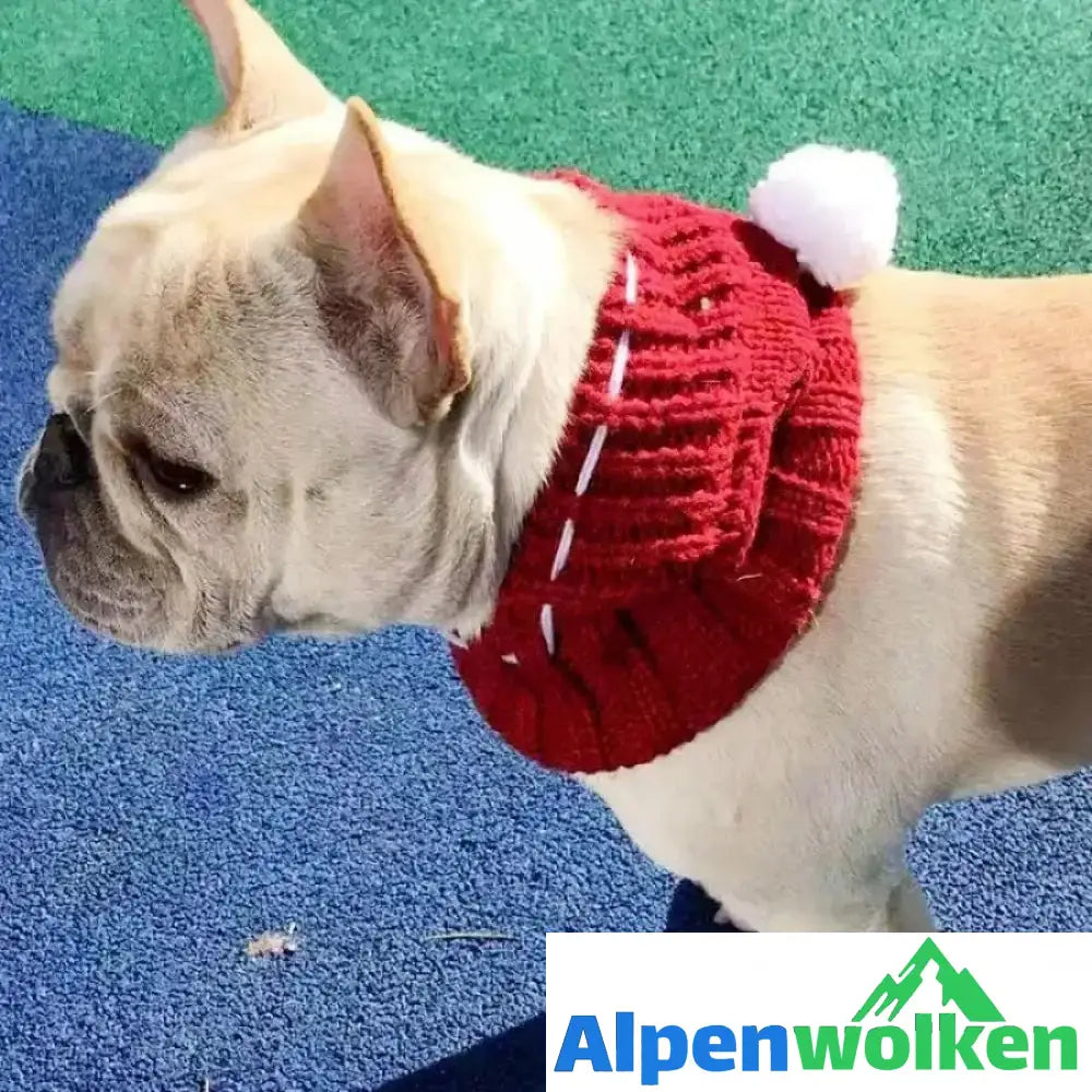 Alpenwolken - Winter Wollmütze für Hund