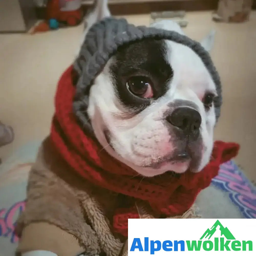 Alpenwolken - Winter Wollmütze für Hund