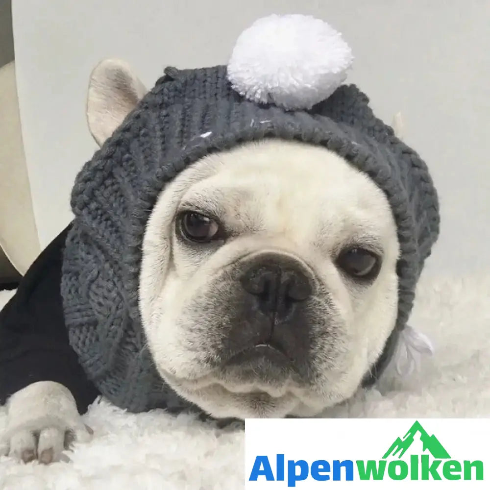 Alpenwolken - Winter Wollmütze für Hund Grau