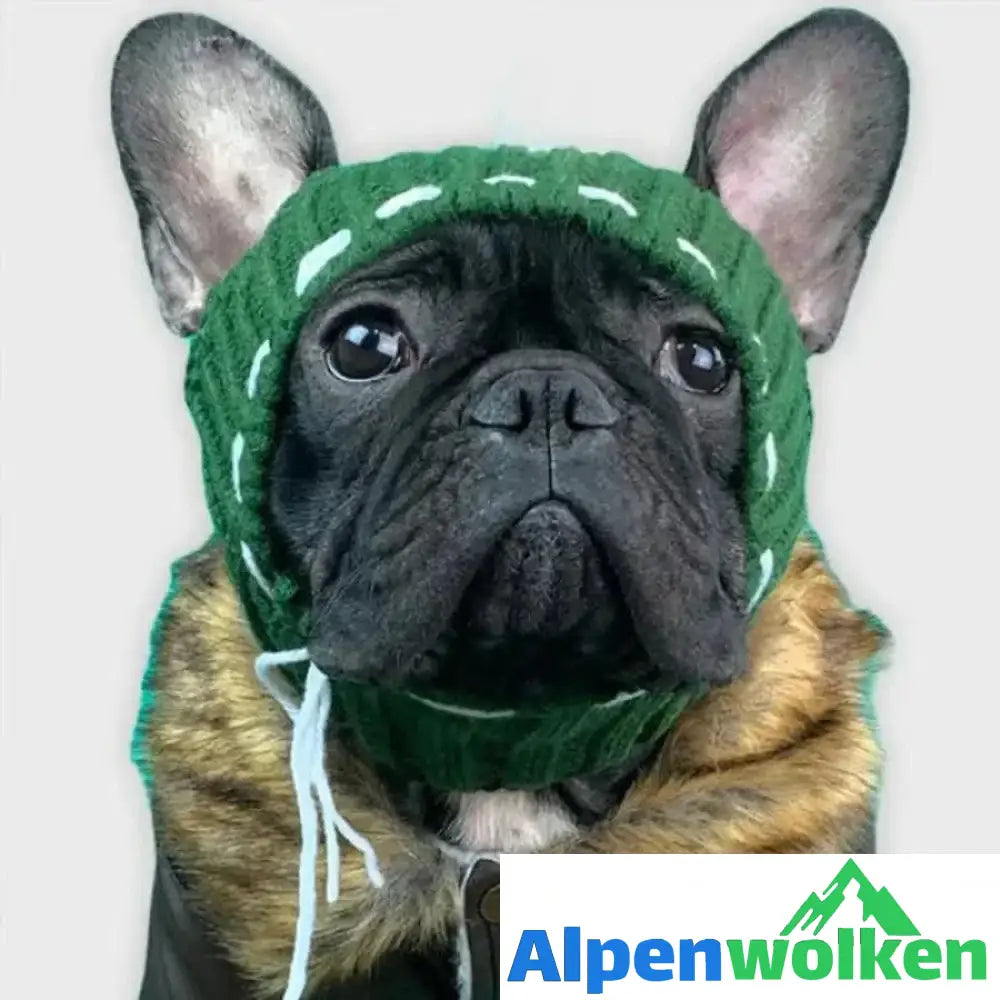 Alpenwolken - Winter Wollmütze für Hund Grün